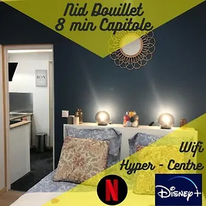 Nid Douillet - 8 Min Capitole Apartamento